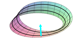 The plot shows a Mobius Strip. There is a normal rotating around the
strip starting near the bottom pointing outward, but when it comes around,
it is pointing inward near the bottom, and when it comes around again, it
is pointing outward again.
This means that the inward and outward sides of the surface are really only
one surface, not two.